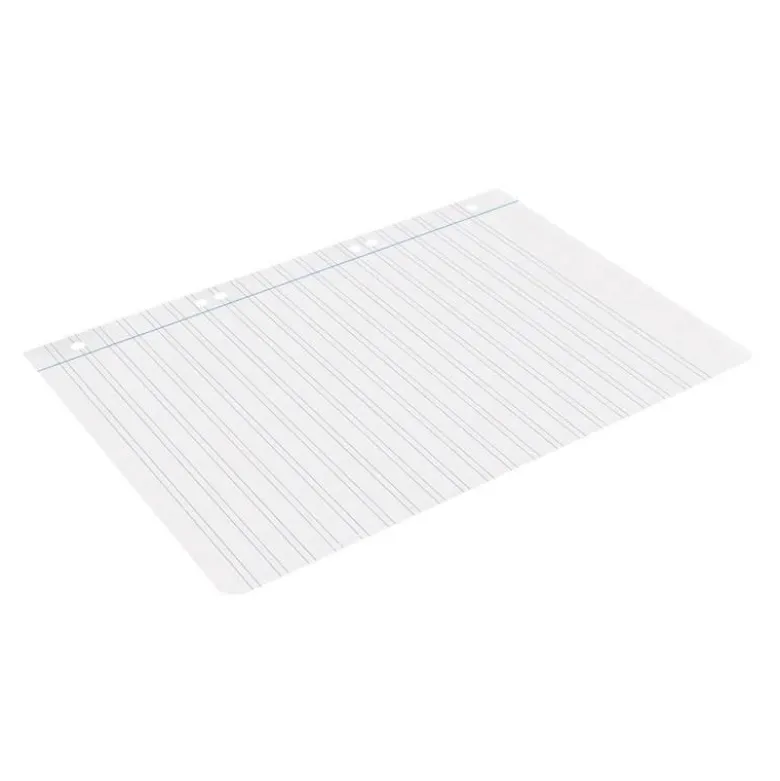 RECAMBIO LIDERPAPEL DIN A5 100 HOJAS 75 GR PAUTA 5 2.5MM CON MARGEN 6 TALADROS