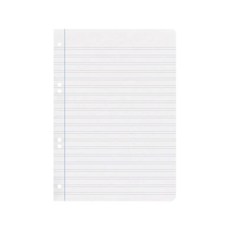 RECAMBIO LIDERPAPEL DIN A5 100 HOJAS 75 GR PAUTA 5 2.5MM CON MARGEN 6 TALADROS