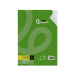 RECAMBIO LIDERPAPEL DIN A4 100 HOJAS 75 GR LISO SIN MARGEN 4 TALADROS