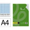RECAMBIO LIDERPAPEL DIN A4 100 HOJAS 75 GR MILIMETRADO SIN MARGEN 4 TALADROS