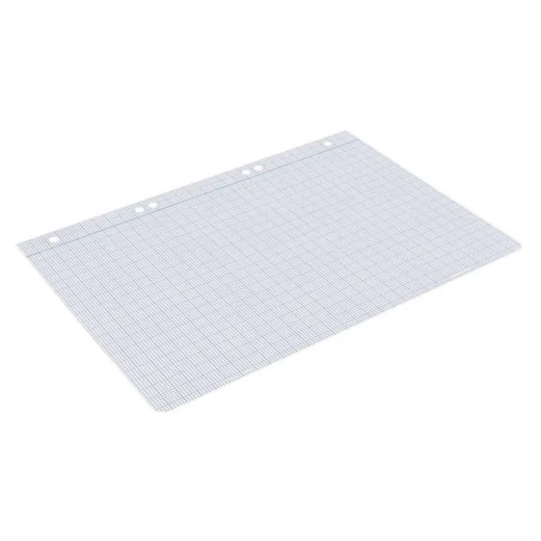 RECAMBIO LIDERPAPEL DIN A5 100 HOJAS 75 GR MILIMETRADO SIN MARGEN 6 TALADROS