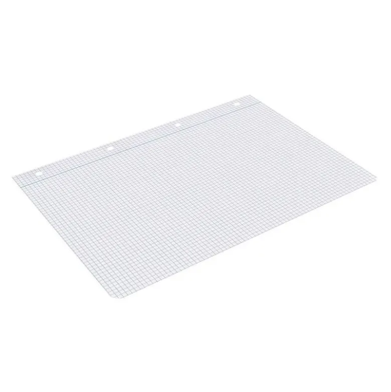 RECAMBIO LIDERPAPEL DIN A4 100 HOJAS 75 GR CUADRO 4 MM CON MARGEN 4 TALADROS