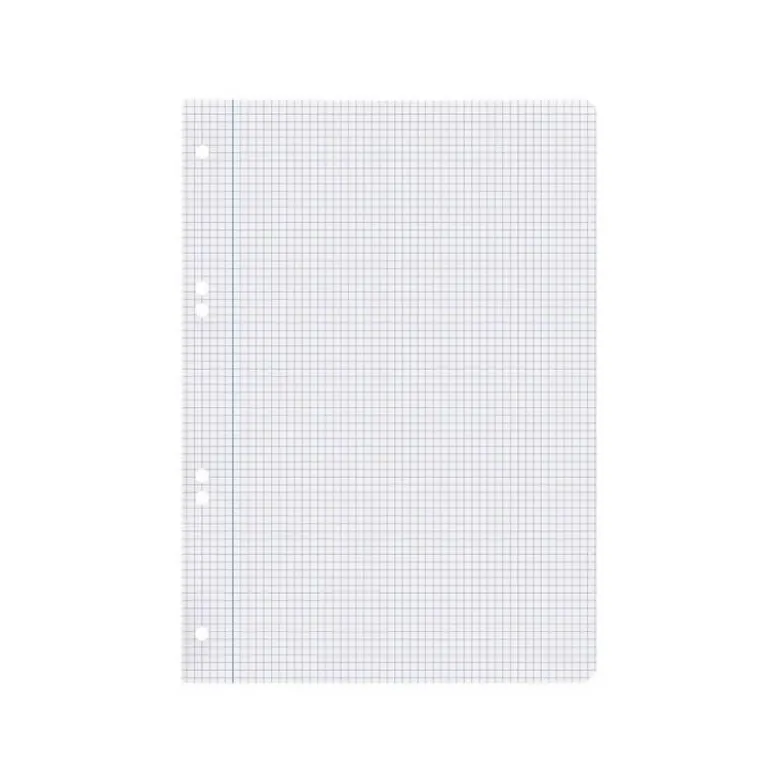 RECAMBIO LIDERPAPEL DIN A5 100 HOJAS 75 GR CUADRO 4MM CON MARGEN 6 TALADROS