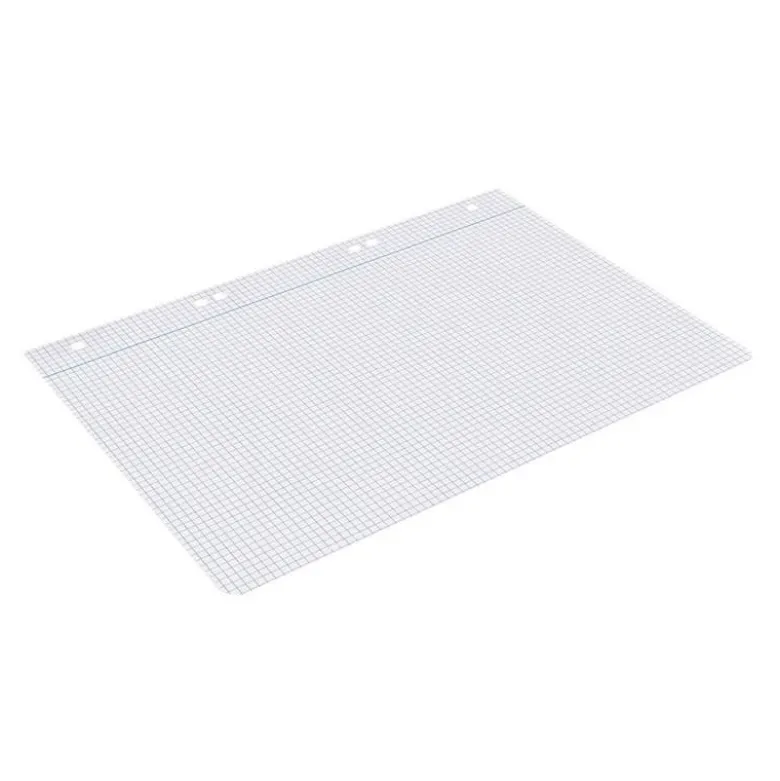 RECAMBIO LIDERPAPEL DIN A5 100 HOJAS 75 GR CUADRO 4MM CON MARGEN 6 TALADROS