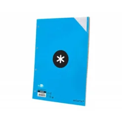 RECAMBIO LIDERPAPEL DIN A4 100 HOJAS 100G/M2 RAYADO HORIZONTAL 4 TALADROS BANDAS DE 5 COLORES ANTARTIK
