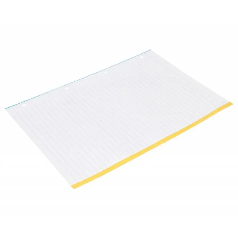 RECAMBIO LIDERPAPEL DIN A4 100 HOJAS 100G/M2 RAYADO HORIZONTAL 4 TALADROS BANDAS DE 5 COLORES ANTARTIK