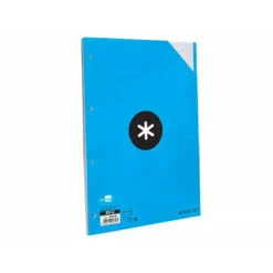 RECAMBIO LIDERPAPEL DIN A4 100 HOJAS 100G/M2 RAYADO HORIZONTAL 4 TALADROS BANDAS DE 5 COLORES ANTARTIK