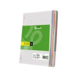 Recambio Liderpapel DIN A4 4 taladros 80gr rayado horizontal