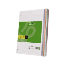 Recambio Liderpapel DIN A5 6 taladros 80 gr cuadrícula 5mm