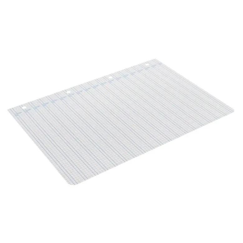 Recambio Liderpapel DIN A4 4 taladros 70 gr cuadriculado pautado 4 mm
