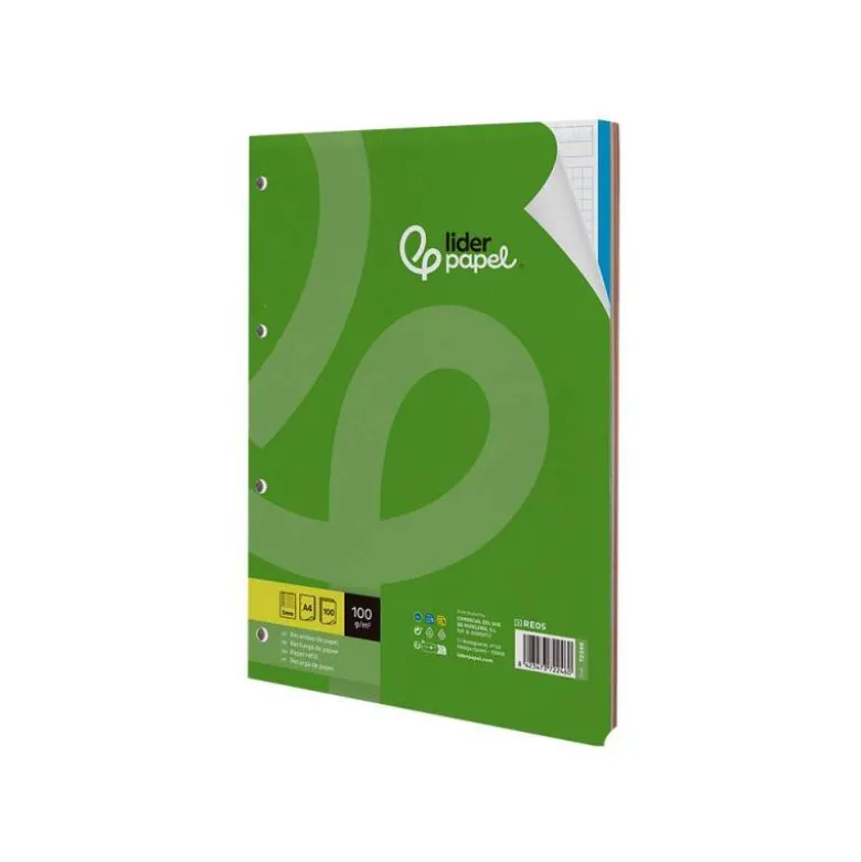 Recambio Liderpapel Din A4 4 taladros 100gr cuadricula 5mm 5 bandas de colores