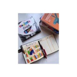 ROTULADOR CARIOCA SUPER BRUSH CAJA DE 10 UNIDADES COLORES SURTIDOS