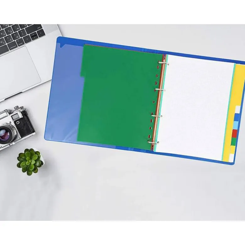 Separadores de plastico Liderpapel juego de 10