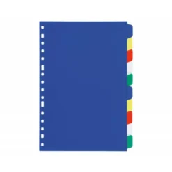Separadores de plastico Liderpapel juego de 10