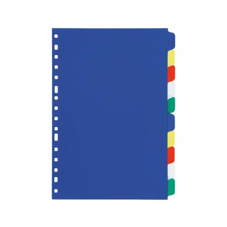 Separadores de plastico Liderpapel juego de 10