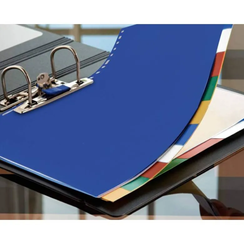 Separadores de plastico Liderpapel juego de 10