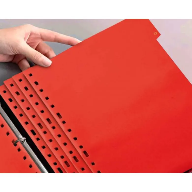 Separadores de plastico Liderpapel cuarto 11 taladros