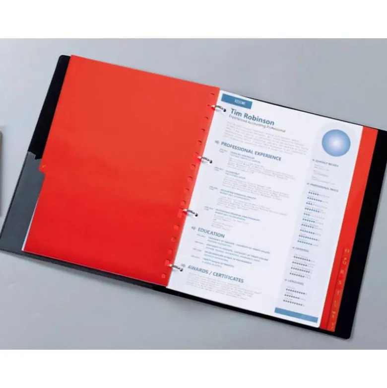Separadores de plastico Liderpapel cuarto 11 taladros
