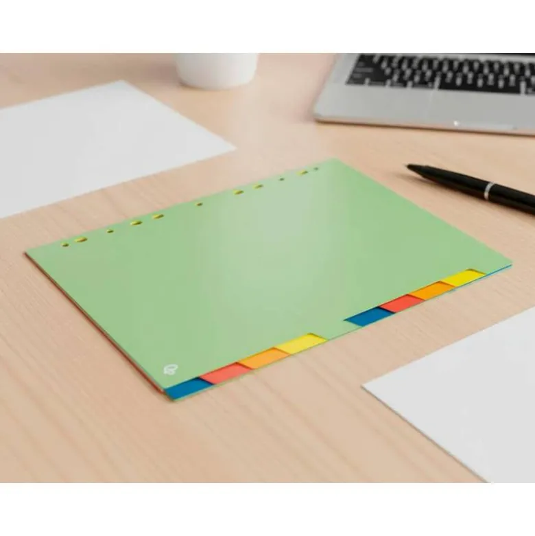 SEPARADOR LIDERPAPEL POLIPROPILENO JUEGO DE 10 SEPARADORES A4 MULTITALADRO 500 MICRAS