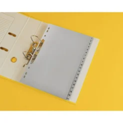 SEPARADOR NUMERICO MARCA Q-CONNECT PLASTICO 1-20 JUEGO DE 20 SEPARADORES DIN A4 MULTITALADRO