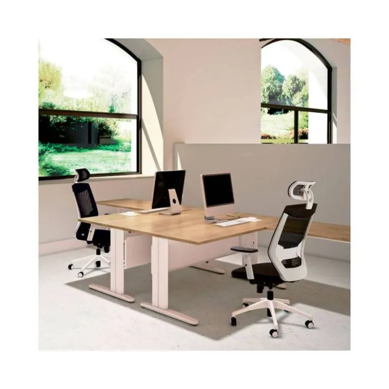 SILLA ROCADA CON RUEDAS DE OFICINA CON BRAZOS REGULABLES Y RESPALDO MALLA NEGRO TAPIZADA EN TELA IGNIFUGA NEGRO COLOR BLANCO
