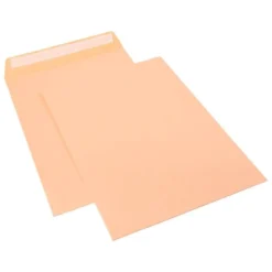Sobre bolsa celulosa marca Sam Chamoix Salmon 229x324 mm 90 gr Caja 250 unidades