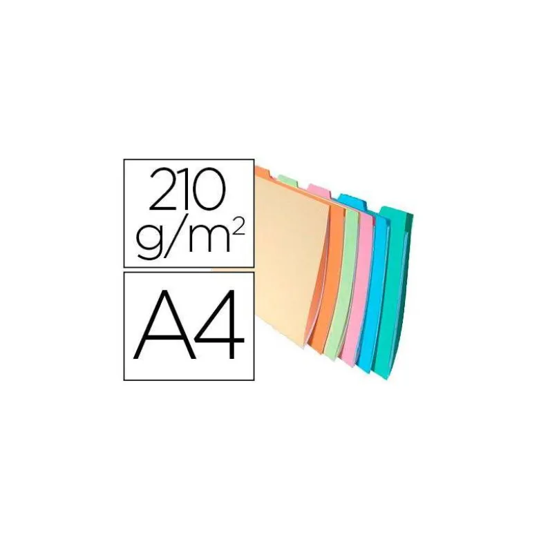 Subcarpeta Cartulina DIN A4 Exacompta con Clasificador Colores Surtidos 210 gr