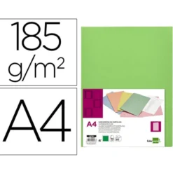 Subcarpeta cartulina Din A4 Liderpapel color verde