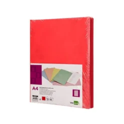 Subcarpeta cartulina Din A4 Liderpapel color rojo