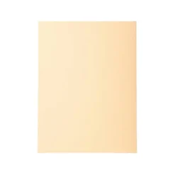 Subcarpeta Cartulina Reciclada DIN A4 Exacompta Crema 170 gr