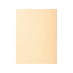 Subcarpeta Cartulina Reciclada DIN A4 Exacompta Crema 170 gr