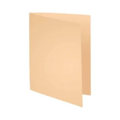 Subcarpeta Cartulina Reciclada DIN A4 Exacompta Crema 170 gr