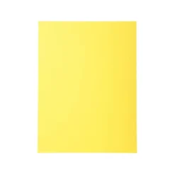 Subcarpeta Cartulina Reciclada DIN A4 Exacompta Amarillo 170 gr