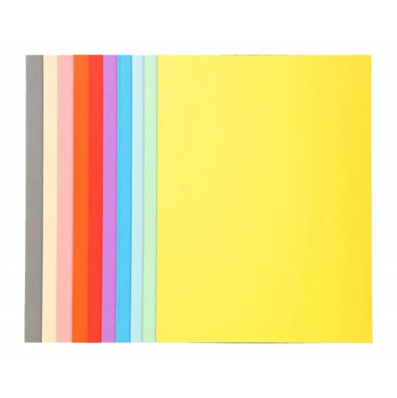 Subcarpeta Cartulina Reciclada DIN A4 Exacompta Colores Surtidos 170 gr