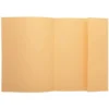 Subcarpeta Exacompta nature future din A4 crema 160 g/m2 con solapa interior