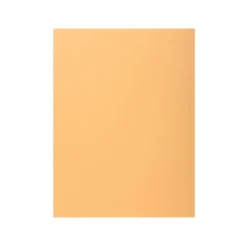 Subcarpeta Exacompta nature future din A4 crema 160 g/m2 con solapa interior