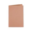 Subcarpeta kraft Liderpapel Din A4 marron con interior blanco