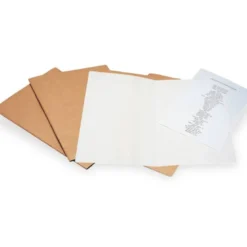 Subcarpeta kraft Liderpapel Din A4 marron con interior blanco