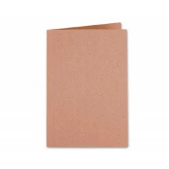 Subcarpeta kraft Liderpapel Din A4 marron
