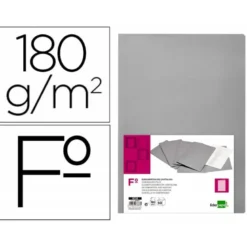 Subcarpeta Liderpapel Folio color Gris Intenso 180g